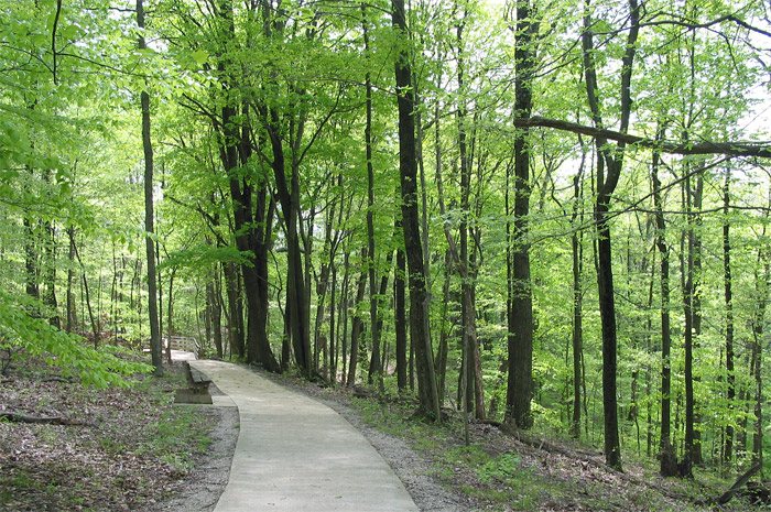 Path in Brown County State Park