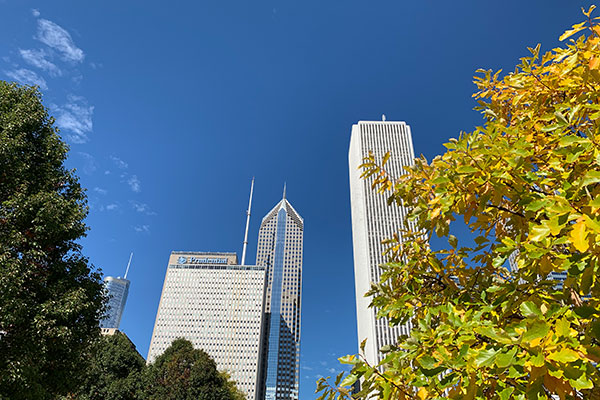 Trees in front of Prudential Building and Aon Center