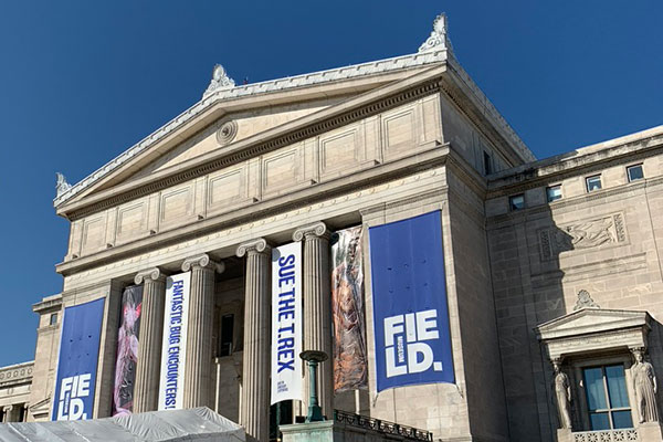 Field Museum south entrance