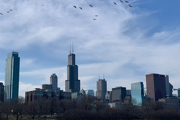 Sears Tower and the Chicago Skyline