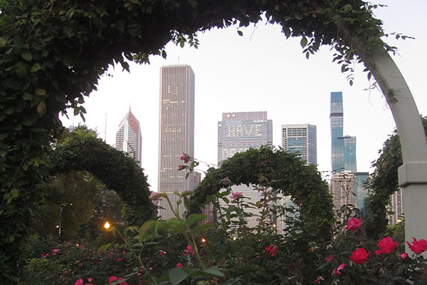 View of Skyline through floral loop