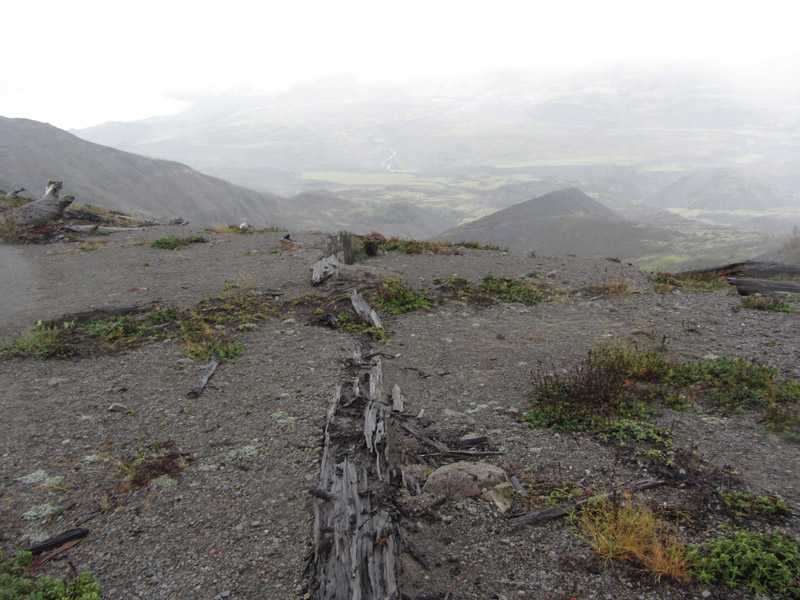 Mount St. Helens in distance with volcanic rock
