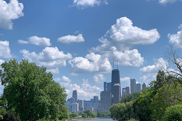 Skyline from Lincoln Park