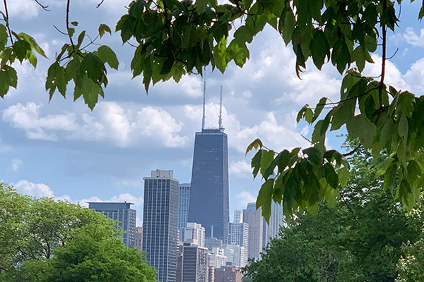 Skyline from Lincoln Park