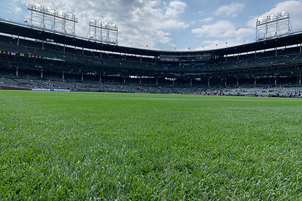 View towards infield from warning track