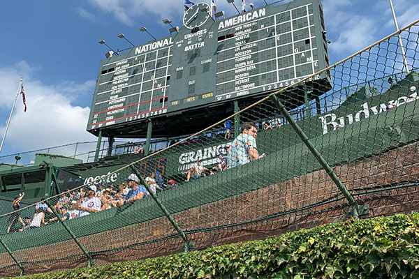 Scoreboard beyond wall of ivy