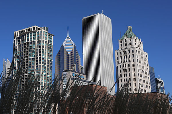 Grass in front of buildings