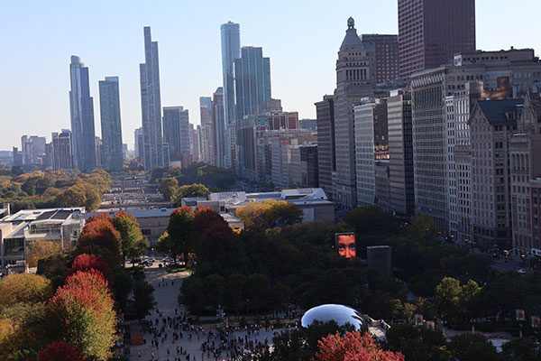 Millenium Park and skyline