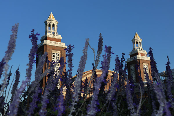 Navy Pier beyond flowers