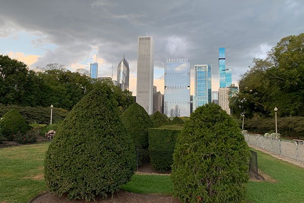 Skyline from Grant Park beyond bushes