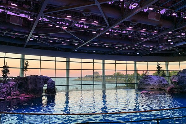 View of Adler Planetarium from inside Shedd Aquarium
