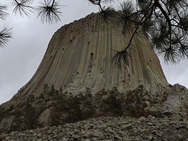 Devils Tower National Monument beyond tree branch