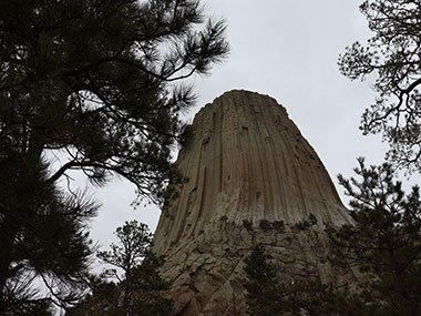 Devils Tower National Monument beyond evergreen tree branches