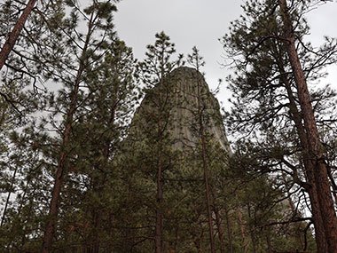 Devils Tower National Monument beyond trees