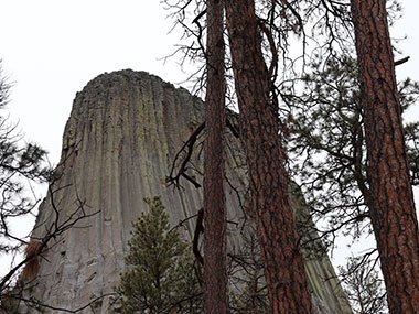 Devils Tower National Monument to the left of three trees