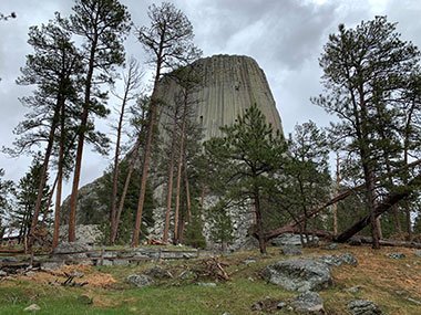 Devils Tower National Monument beyond several trees