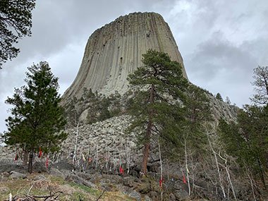 Devils Tower National Monument with a couple evergreen trees