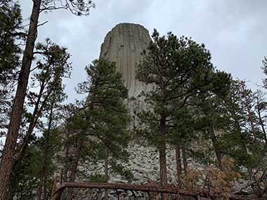 Devils Tower National Monument obscured by trees