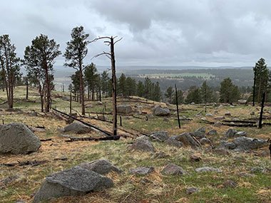 Rocks with woods beyond