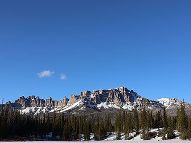 Snow covered cliffs beyond trees