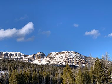 Snow covered trees on wy to Grand Teton National Park