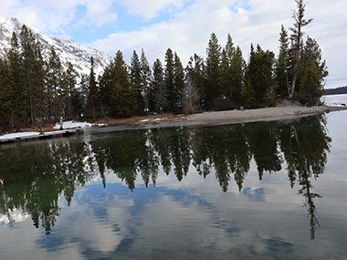 Trees reflect on lake
