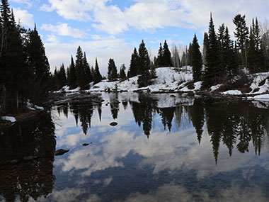 Lake with trees in the reflection