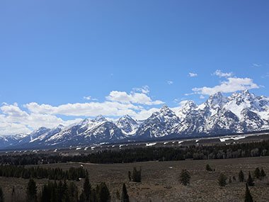 Grand Teton National Park fields  meet mountains