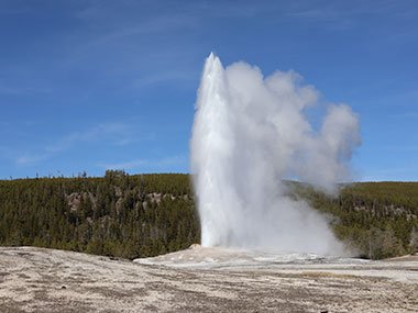 Old Faithful erupts