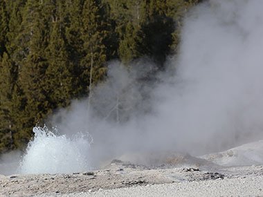Geyser bubbling - Yellowstone National Park