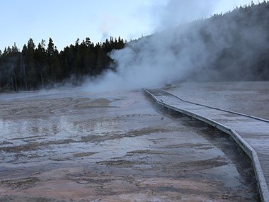 Path through geyser basin