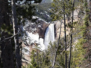 Tall waterfall - Yellowstone National Park