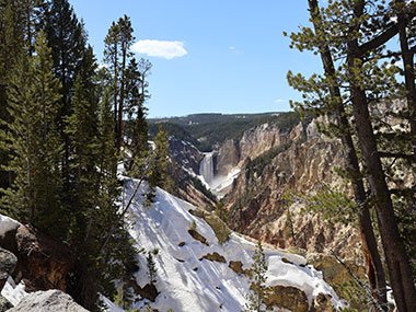 Lower Falls beyond snow and trees - Yellowstone National Park
