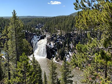 Yellowstone National Park waterfall beyond trees