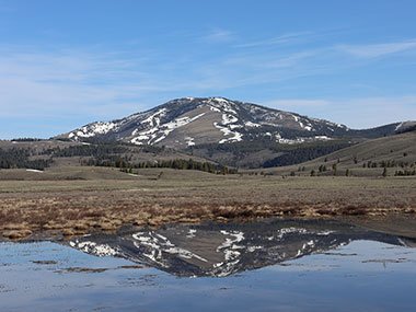 Mountain reflects in water in Yellowstone National Park