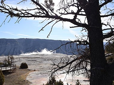 Yellowstone National Park geyser basin