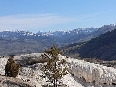 Yellowstone National Park Mammoth Hot Springs