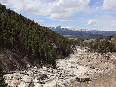 River in Yellowstone National Park