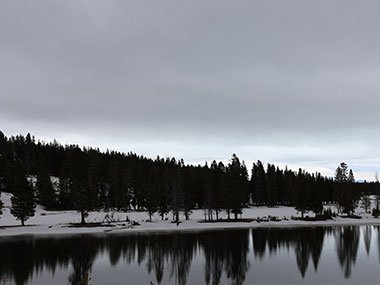 Lake with tree reflection in Yellowstone National Park