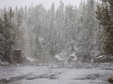 Yellowstone National Park snow falls on river
