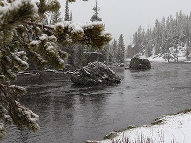 Rocks in river beyond evergreens