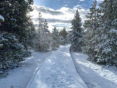 Yellowstone National Park trail snow covered