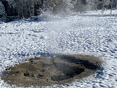 Yellowstone National Park pool with bison in background