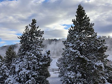 Yellowstone National Park trees covered in snow with geyser basin beyond