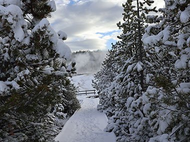 Yellowstone National Park snow covered trail