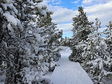 Yellowstone National Park path with footprints in the snow