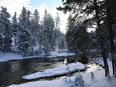 Yellowstone National Park stream with snow covered trees beyond
