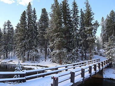 Yellowstone National Park bridge over stream