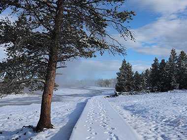 Yellowstone National Park path along snow covered field