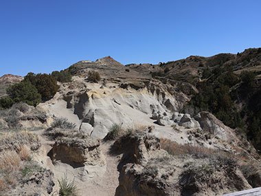 Sandy ground - Theodore Roosevelt National Park